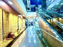 Orchard Towers (D9), Retail #565082151